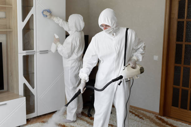 Best Certified Mold Removal  in New Square, NY