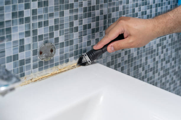 Best Home Mold Removal  in New Square, NY
